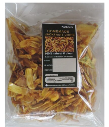 Kochechi jackfruit chips