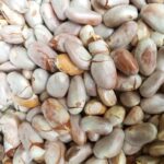 Kochechi raw-jackfruit-seeds