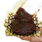 jackfruit preserve chakkavaratti