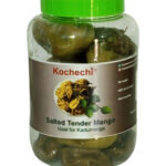 Kochechi salted tender mango