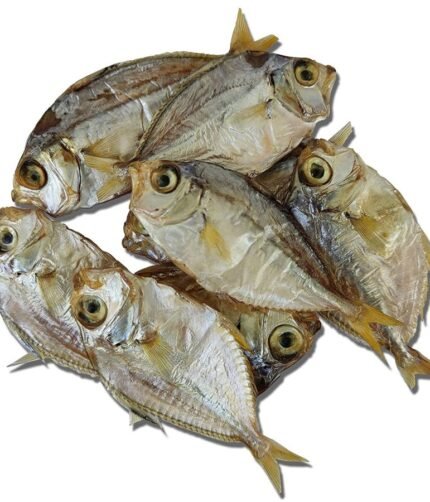 Kochechi dryf ish mullan